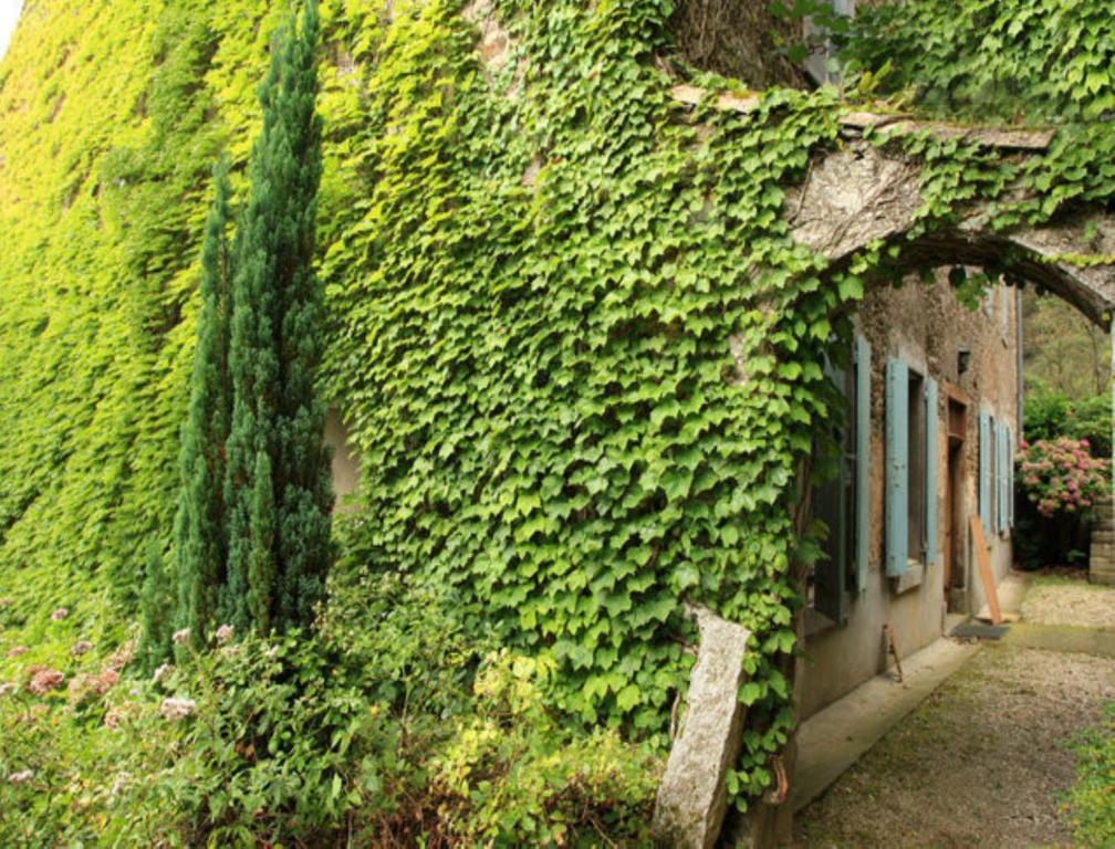 Bed and Breakfast L'Affable Les Cammazes Exteriér fotografie